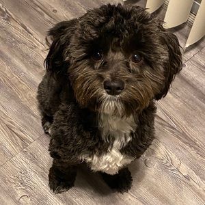 Meet your Posher, Elizabeth